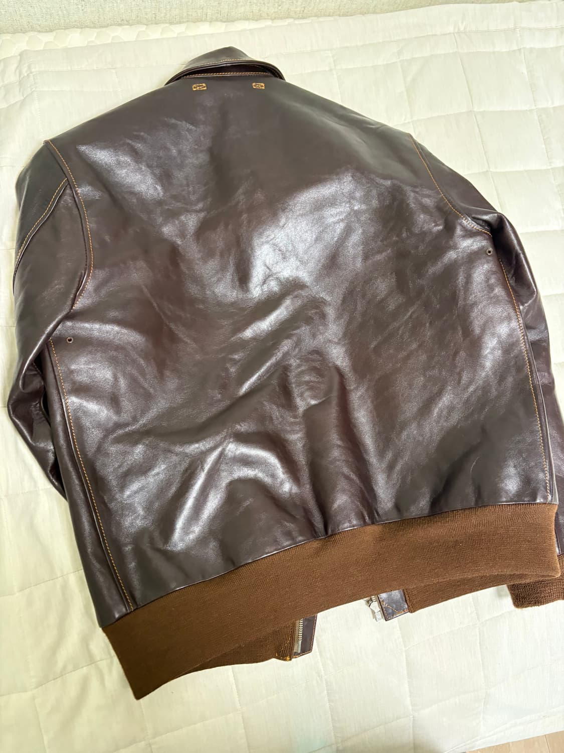 더블헬릭스 a2 상품이미지2