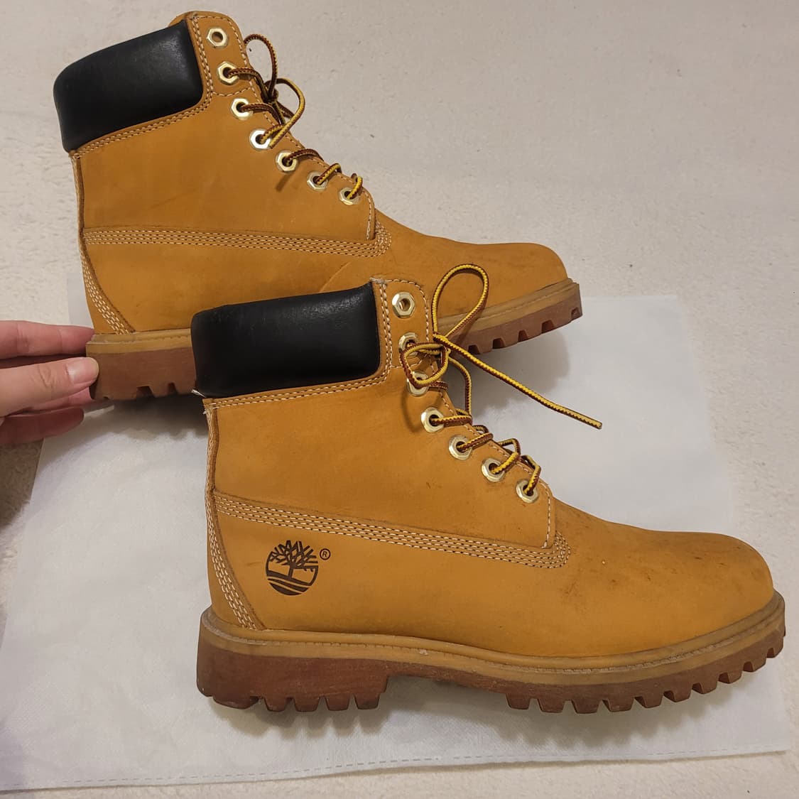 팀버랜드 6인치 워터프루프 250 상품이미지3