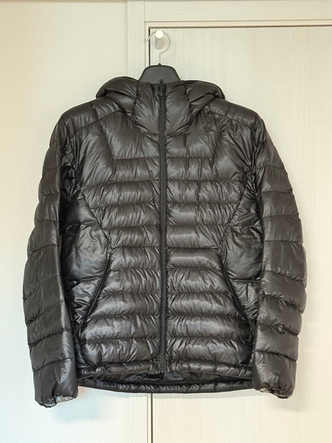 골드윈 goldwin 1000fp sputtering 후디드 다운자켓 상품이미지2