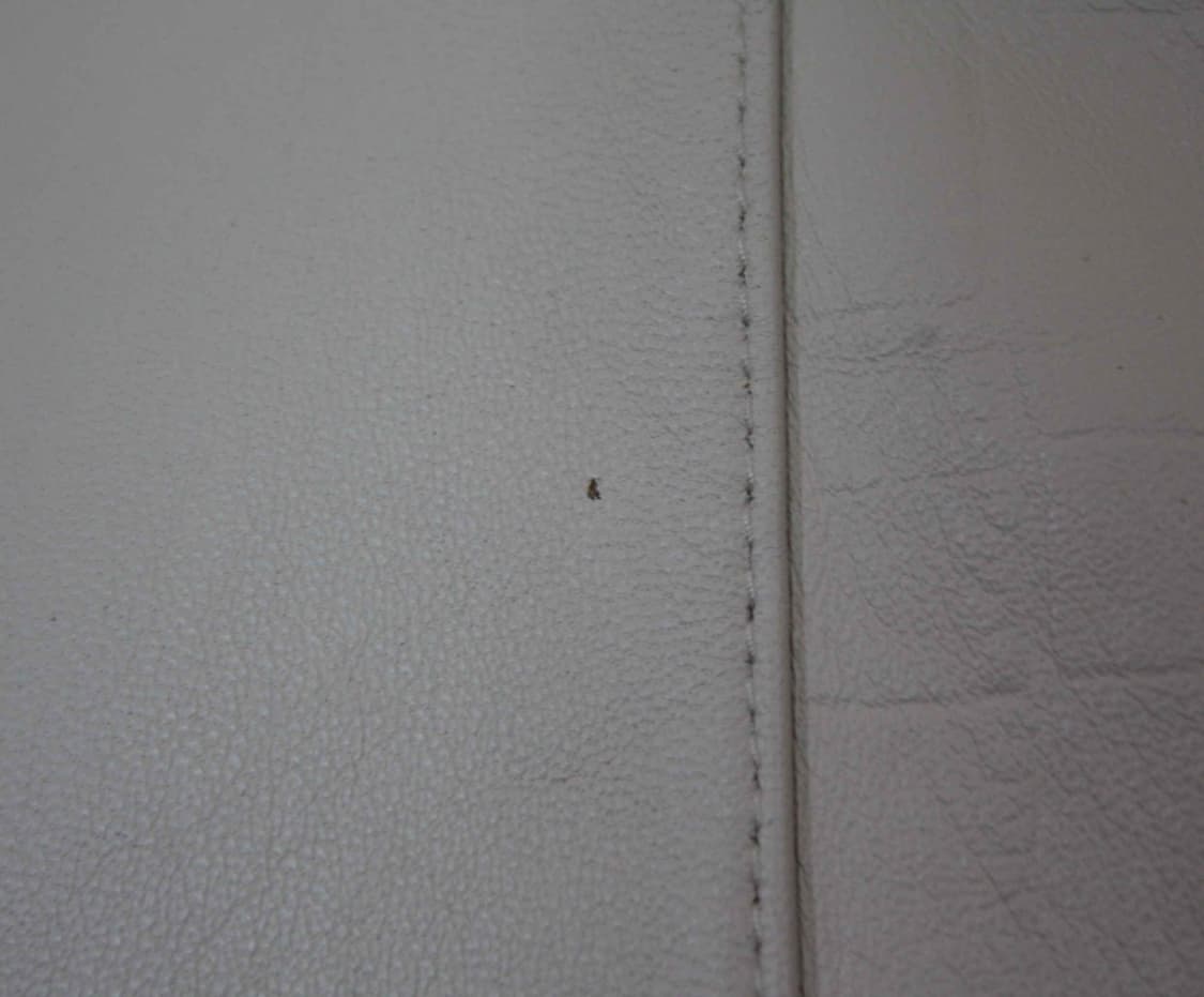 J-12107/시스템시스템옴므 정품 남성용 양가죽 자켓 95 상품이미지6