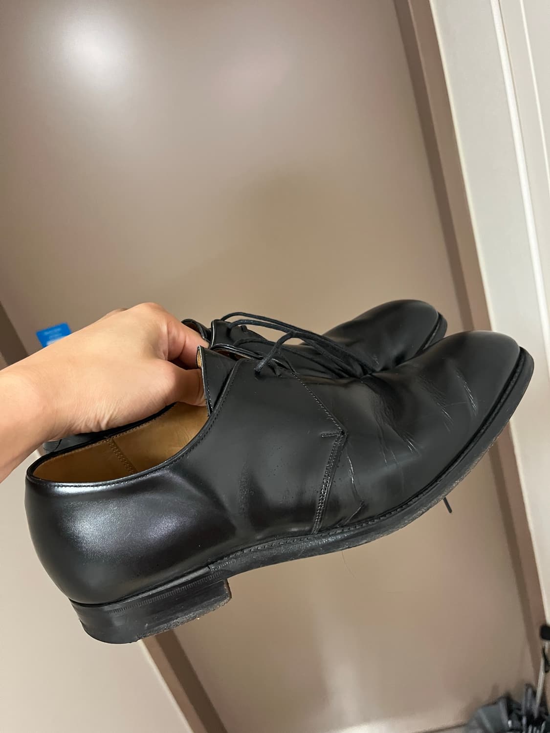 조셉치니 더비 270 상품이미지2