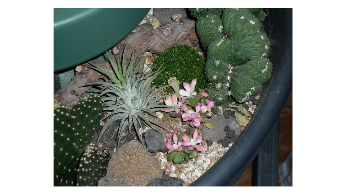 파나소닉 루믹스 DMC-FX37 상품이미지7