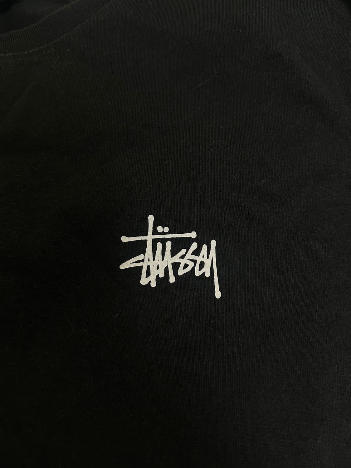 스투시 롱슬리브 L 상품이미지2