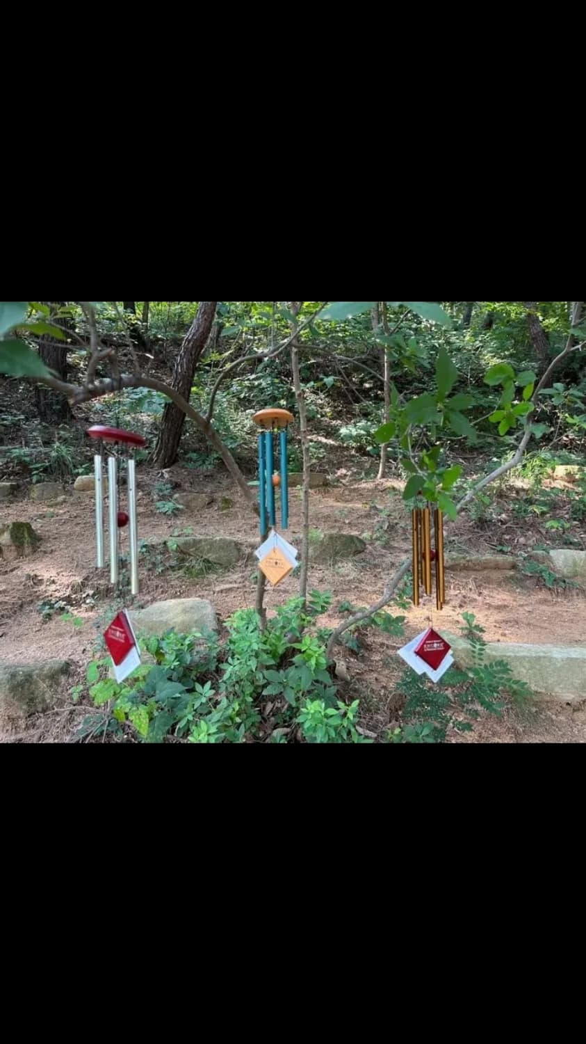 미국 우드스탁 차임 앙코르시리즈 상품이미지7