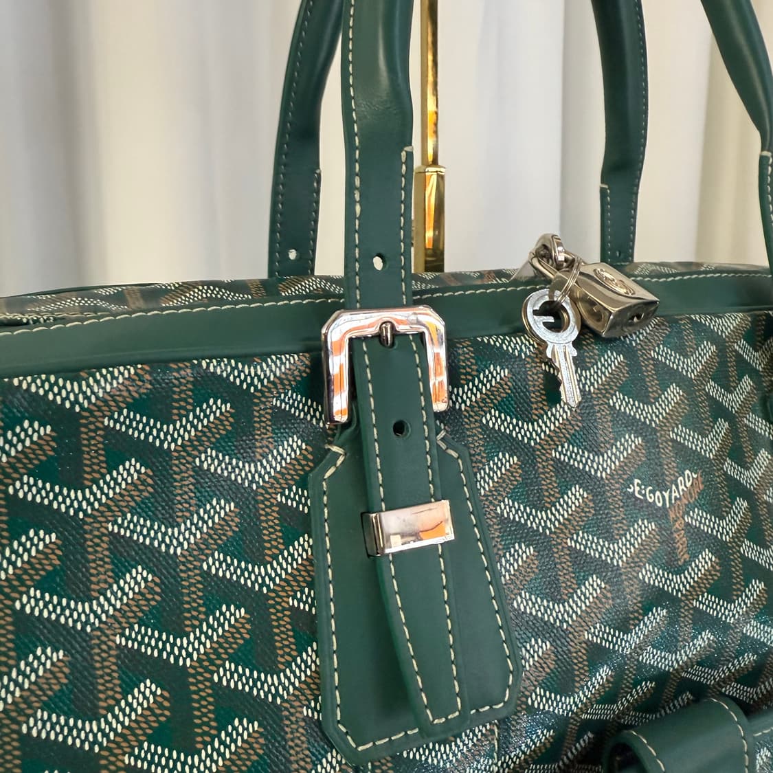 고야드 암바사드 도큐먼트 케이스 MM 그린 상품이미지6