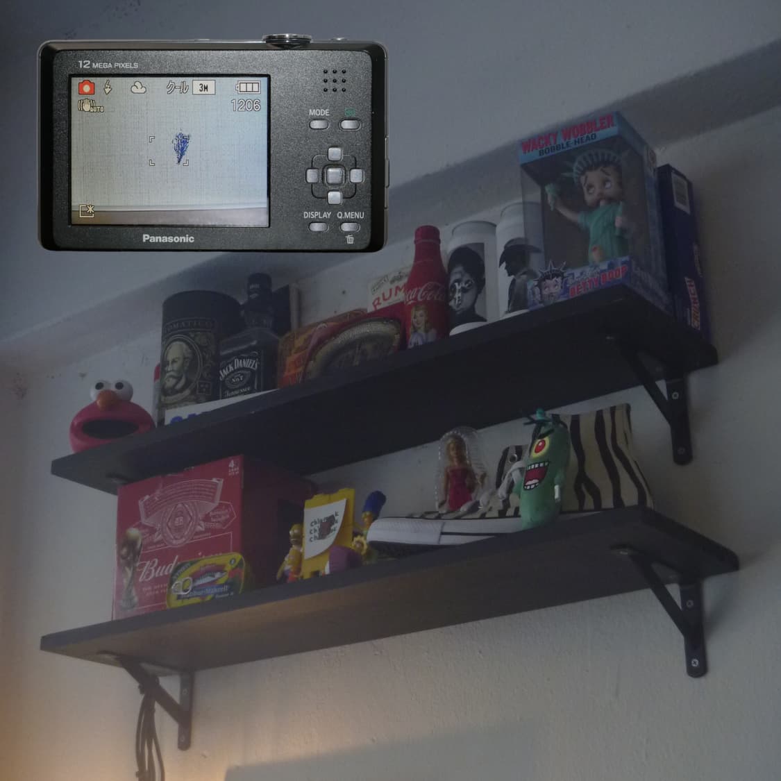 LUMIX FP1(🎁풀패키지/📸Leica) 상품이미지3