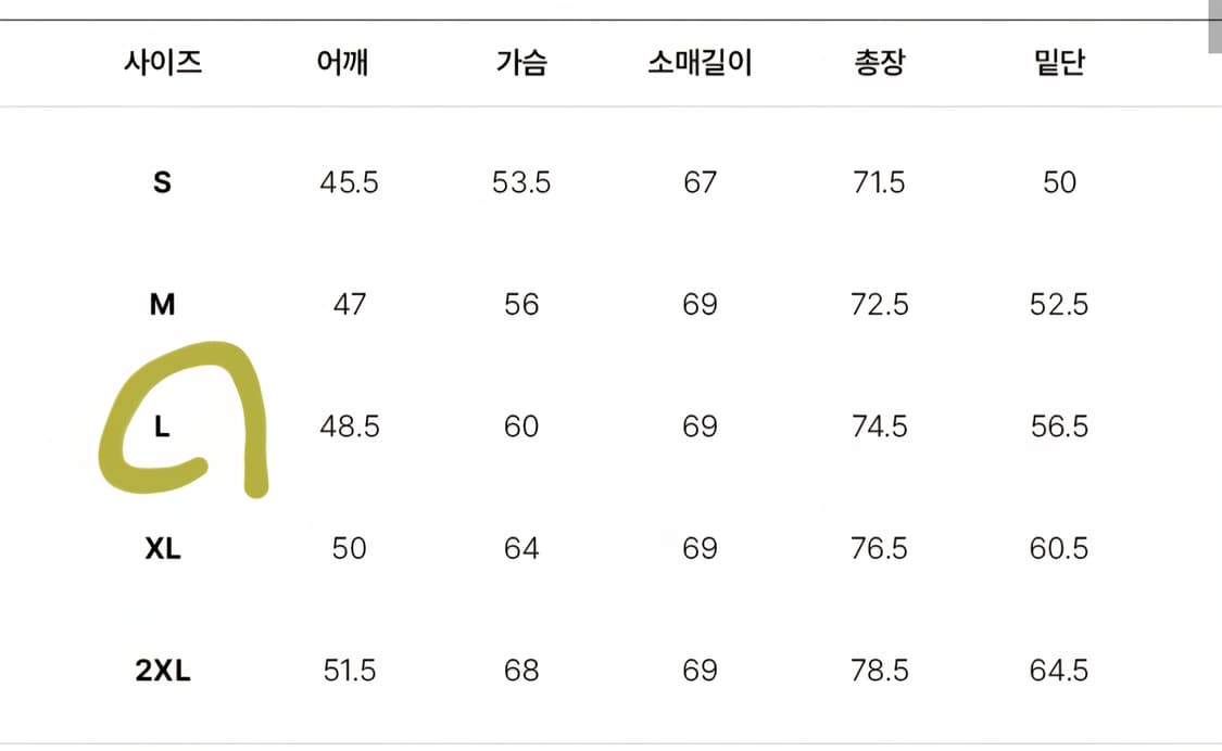 챔피온 빅 스크립트 후드집업 상품이미지3