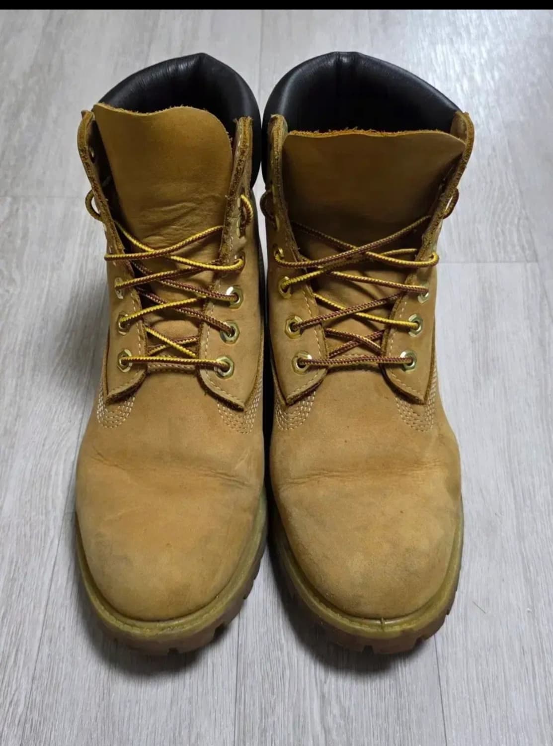 [250~255]팀버랜드 6인치 워터프루프 프리미엄부츠 상품이미지2