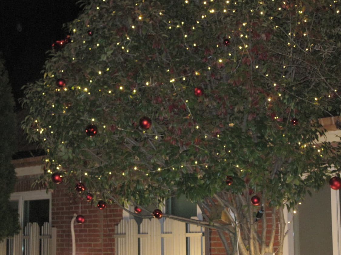 canon ixy 캐논 익시 110 IS (=익서스 95) 하늘색 상품이미지9