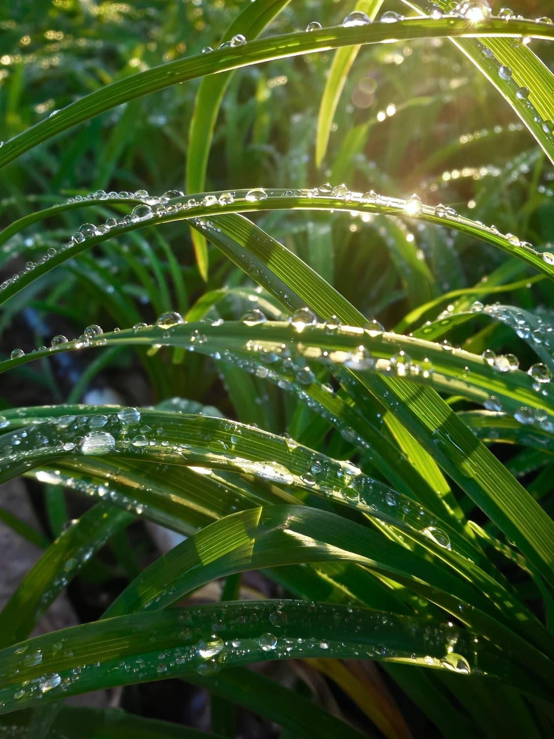 Nikon CoolPix S80 상품이미지4