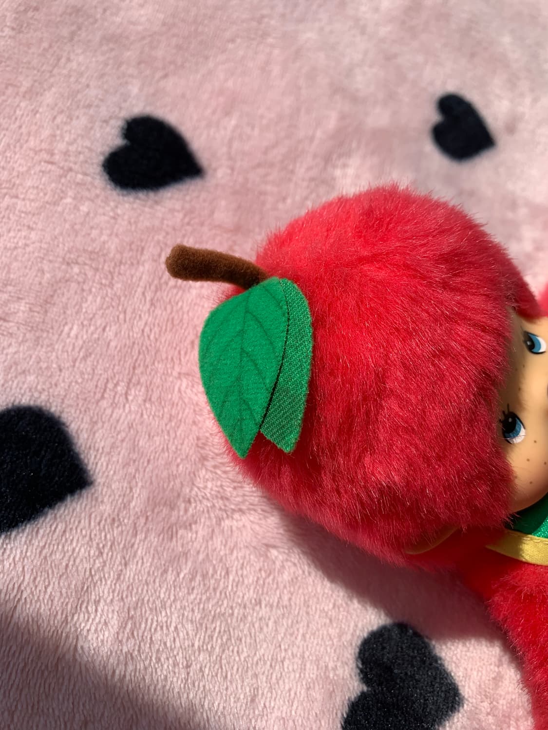 🍎몬치치 신슈 지역한정 링고 상품이미지3