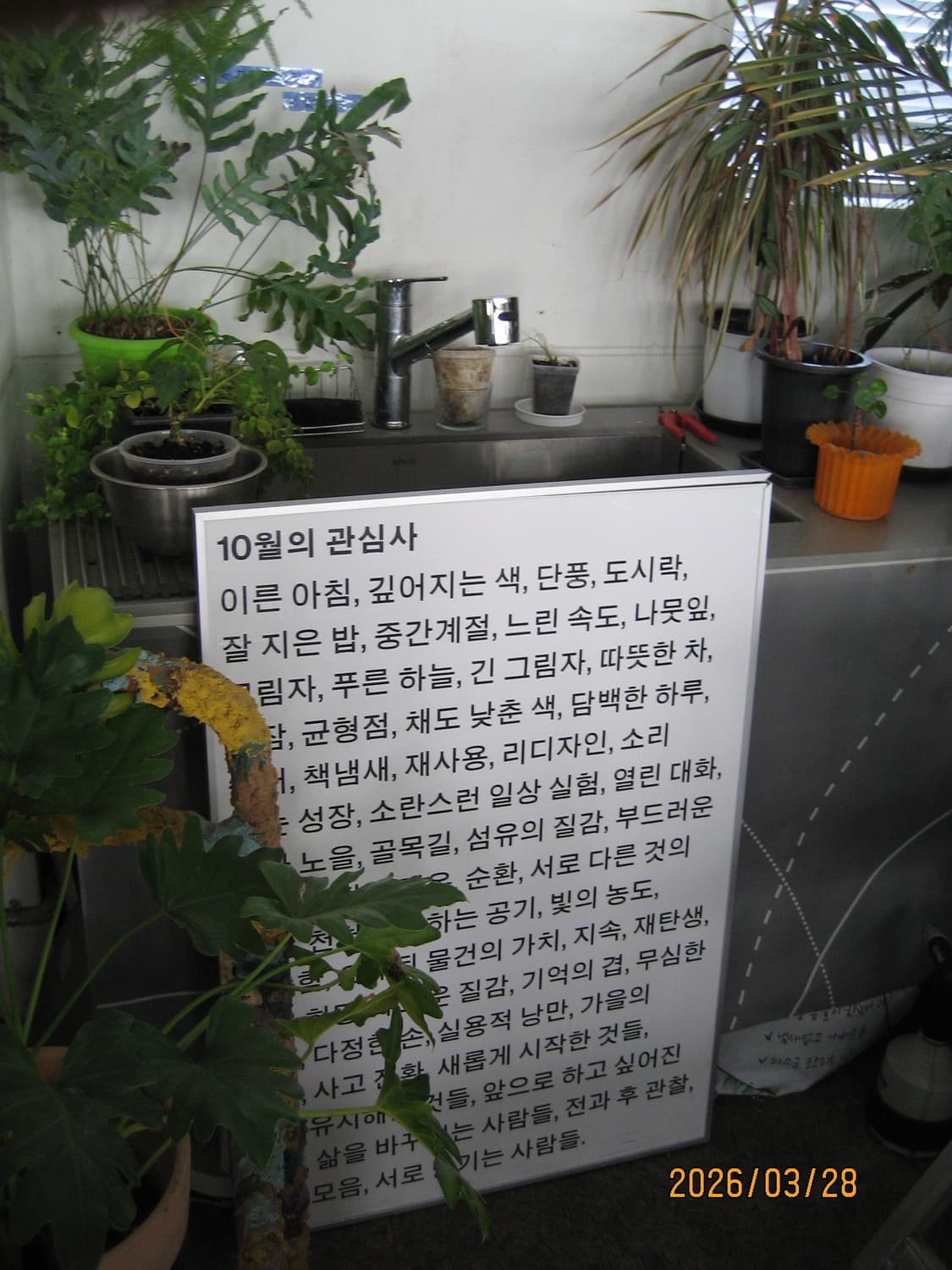 토모토모픽!) 캐논 IXY 810 IXUS 950 빈티지 디카 캠코더 상품이미지7