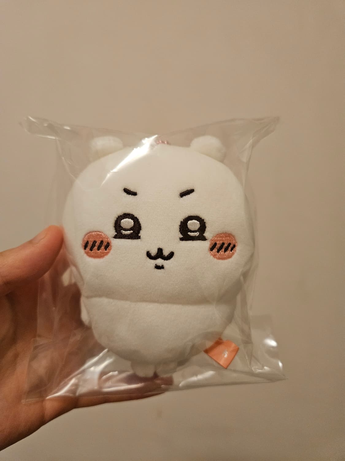 지역한정 대파 치이카와 상품이미지2