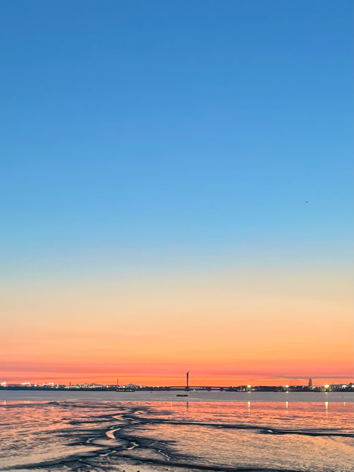 [1회 착용] 25년 디올 콘트라스트 펜던트 목걸이 상품이미지2