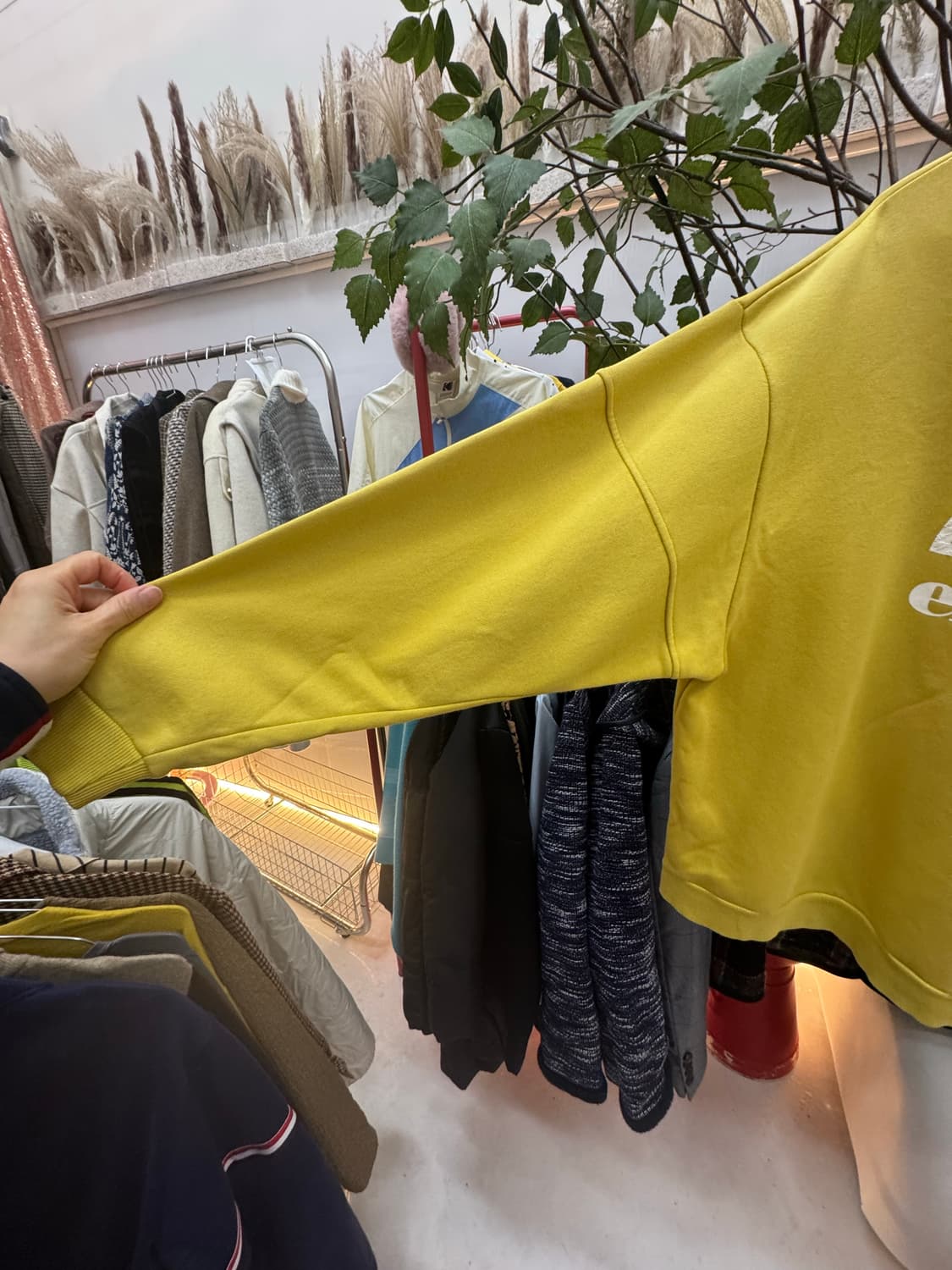 ellesse 로고 크루넥 맨투맨 (머스타드 옐로우) 상품이미지7