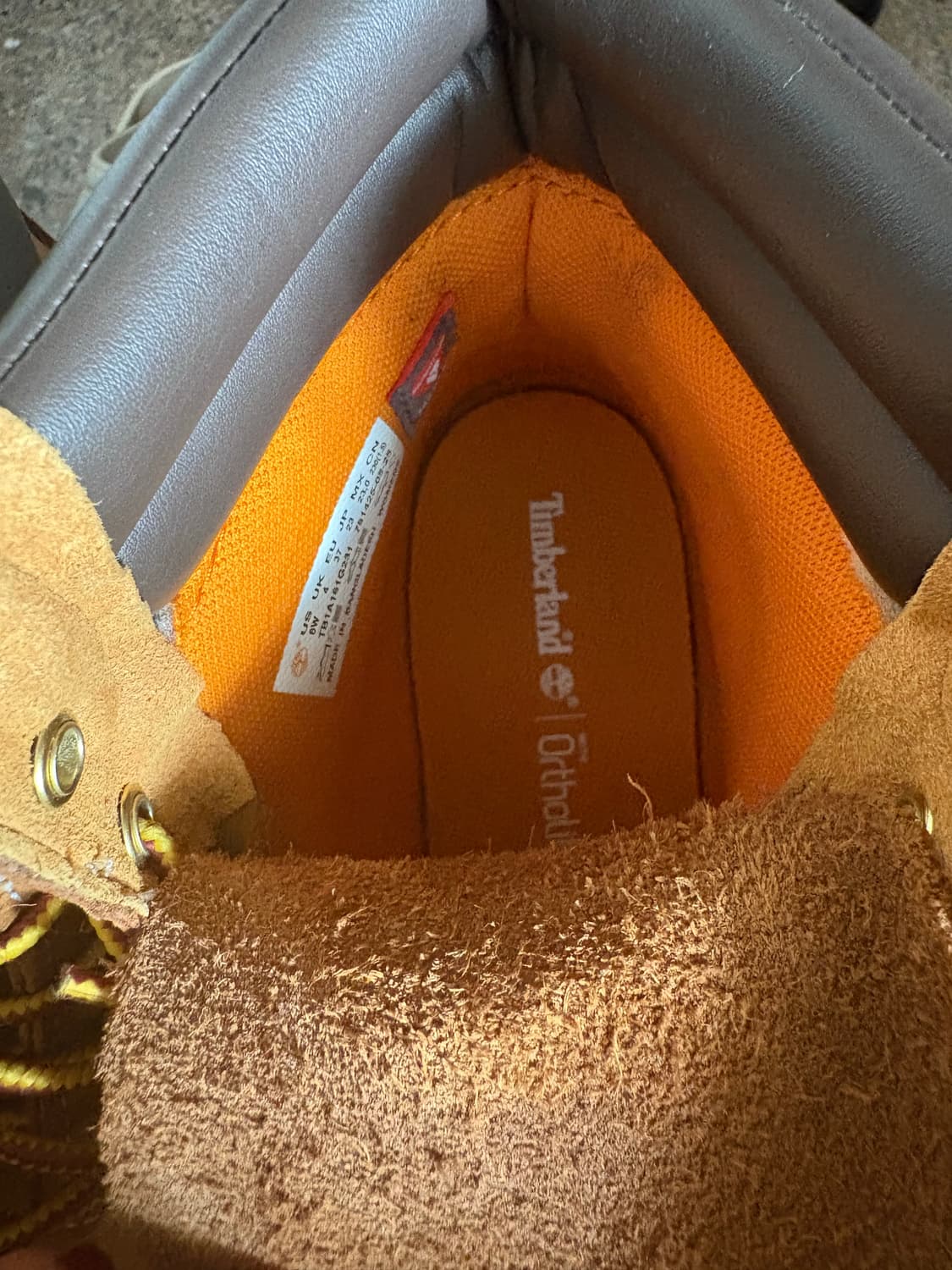 팀버랜드 여성 6인치 레이스업 부츠 _ TB1A161G2311 상품이미지6