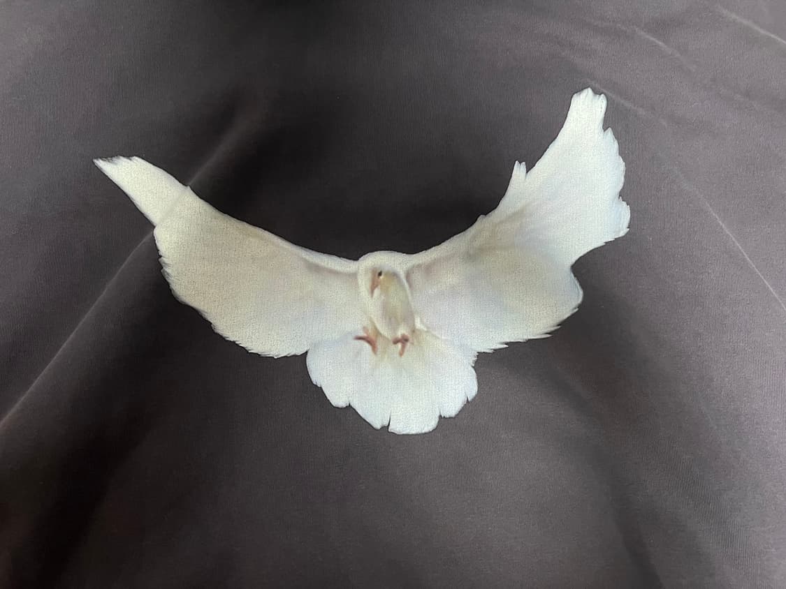 YEEZY GAP BALENCIAGA DOVE HOODIE DRK GRY 상품이미지7