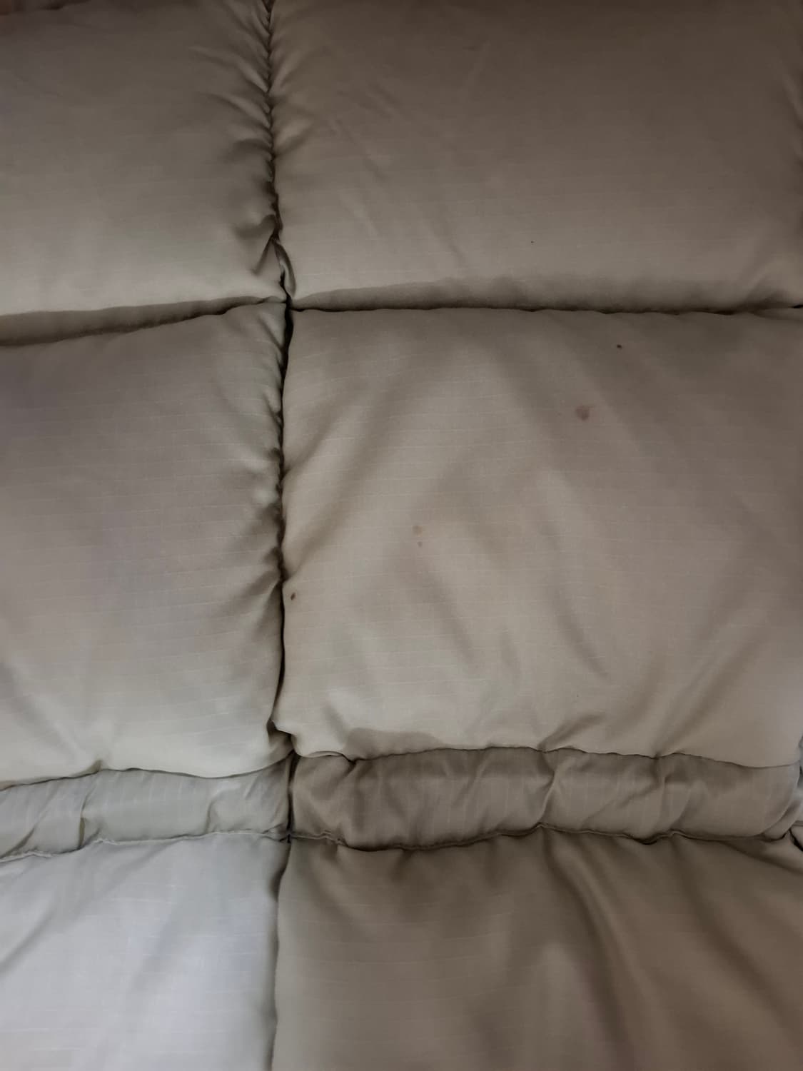 70~80s 에디바우어 카라코람 팝니다 상품이미지3