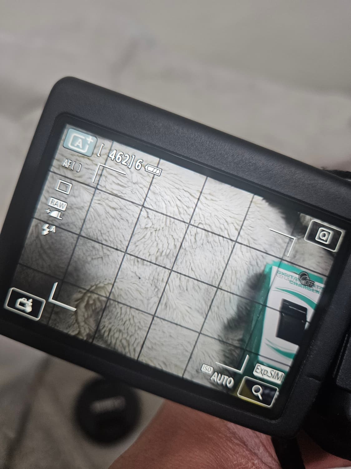 캐논 eos 750d dslr 디지털 카메라 레트로 디카 상품이미지6