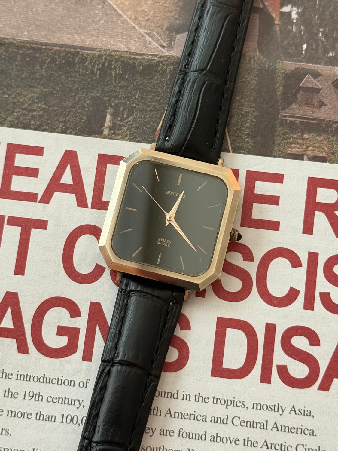 Citizen 시티즌 Exceed Black Cabochon 상품이미지1
