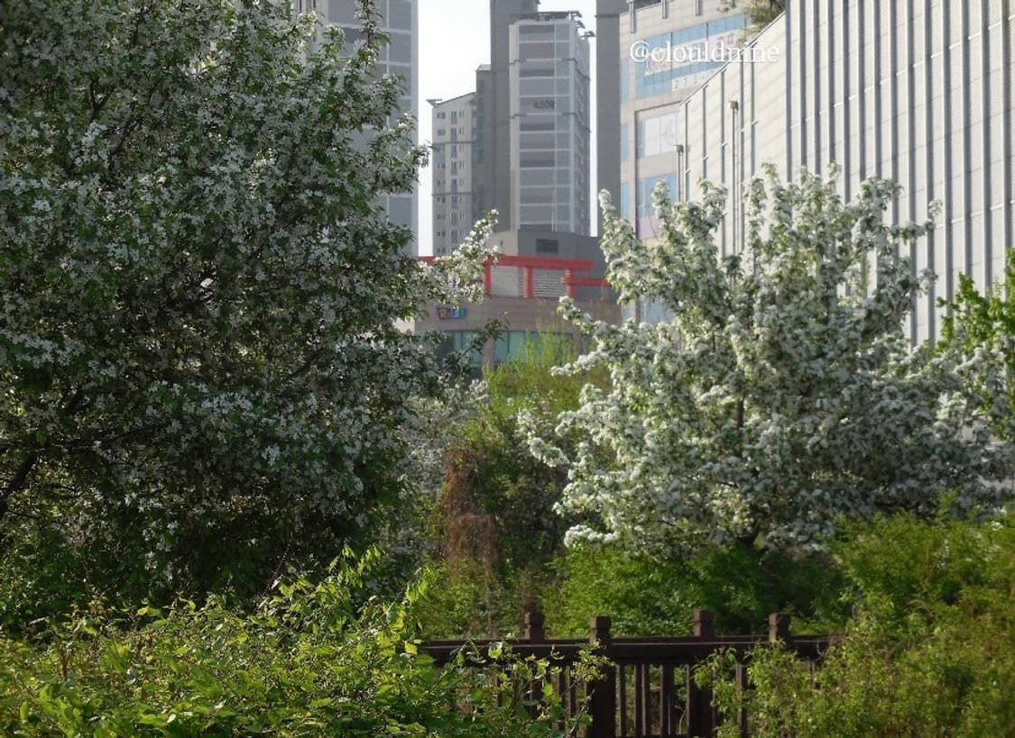 민트급.셀카캠✨ nikon 쿨픽스coolpix s6600 디카 상품이미지9