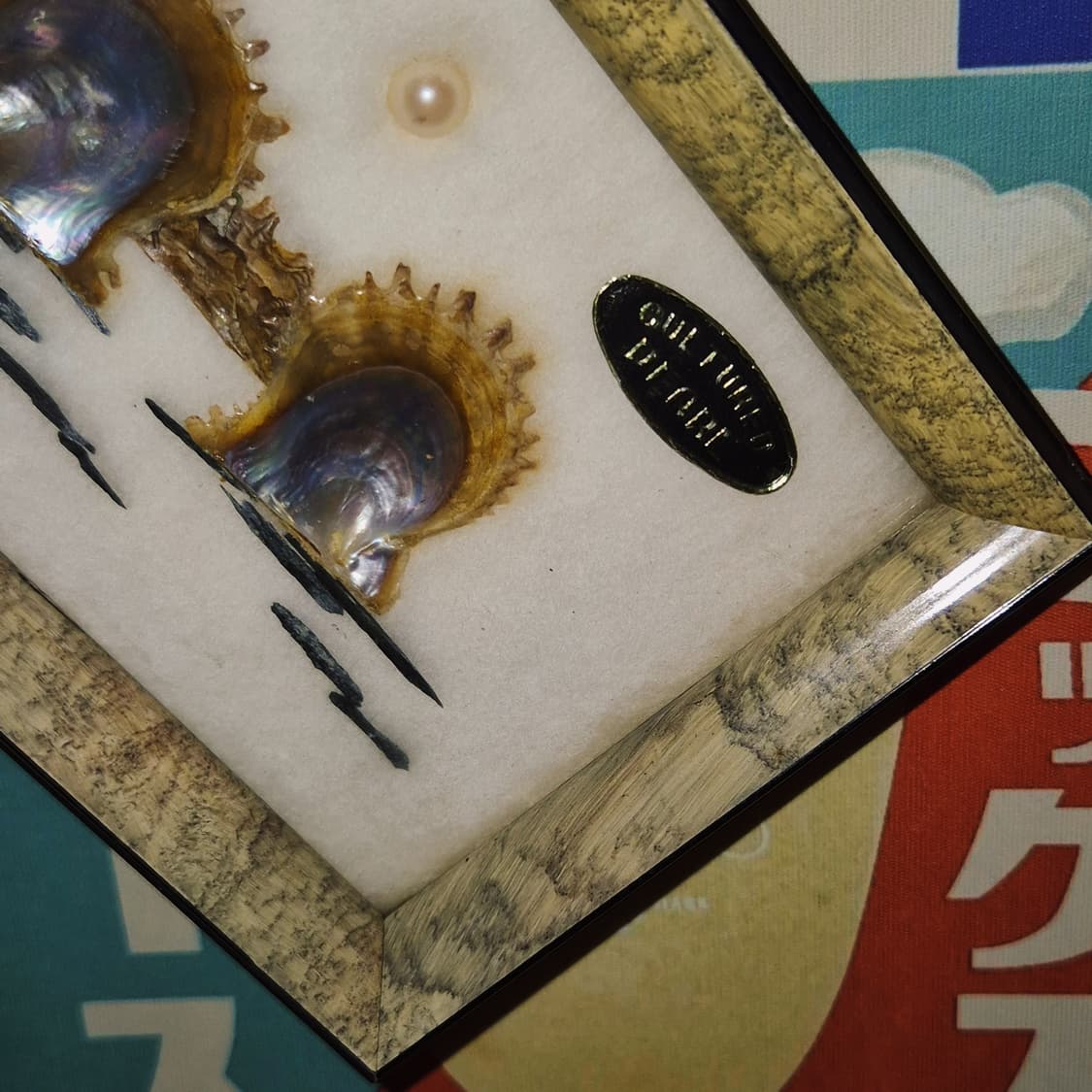 50s 이세시마 엔틱 진주 표본 조개 액자 상품이미지7