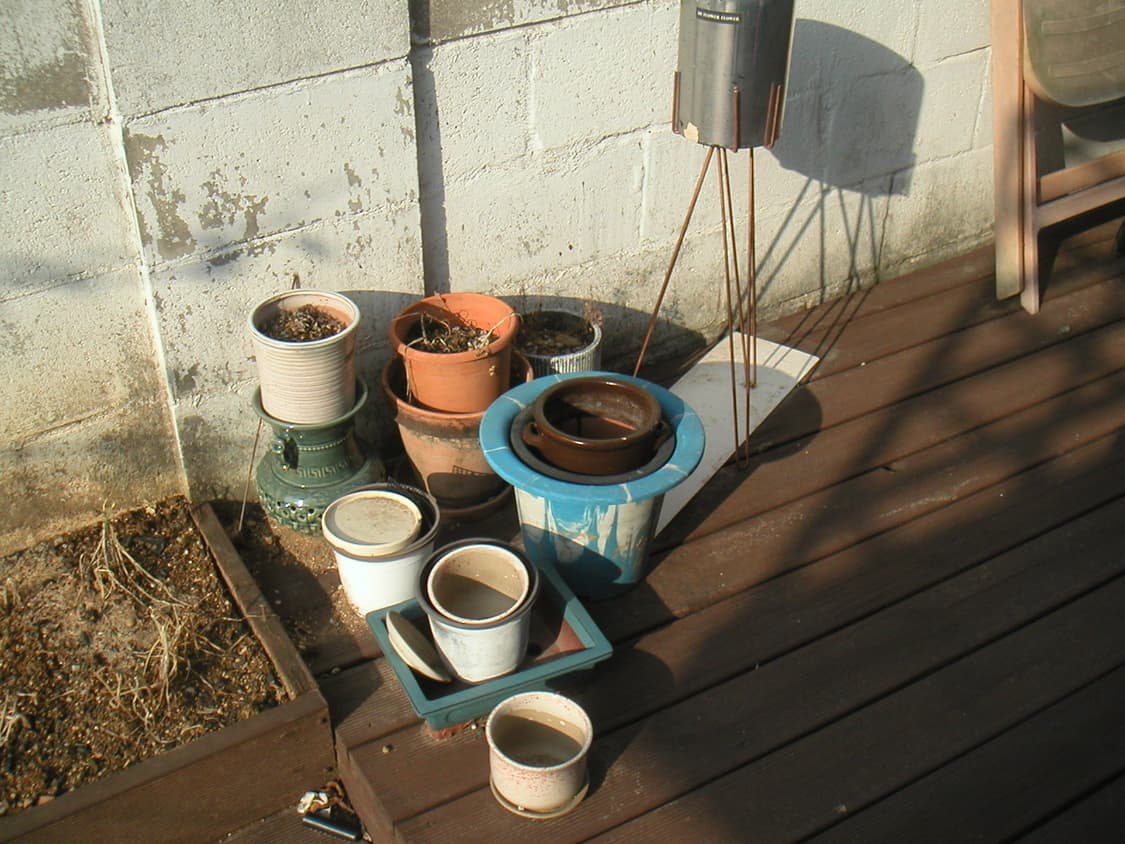 필카느낌 Minolta DiMAGE X 미놀타 빈티지 디카  상품이미지10