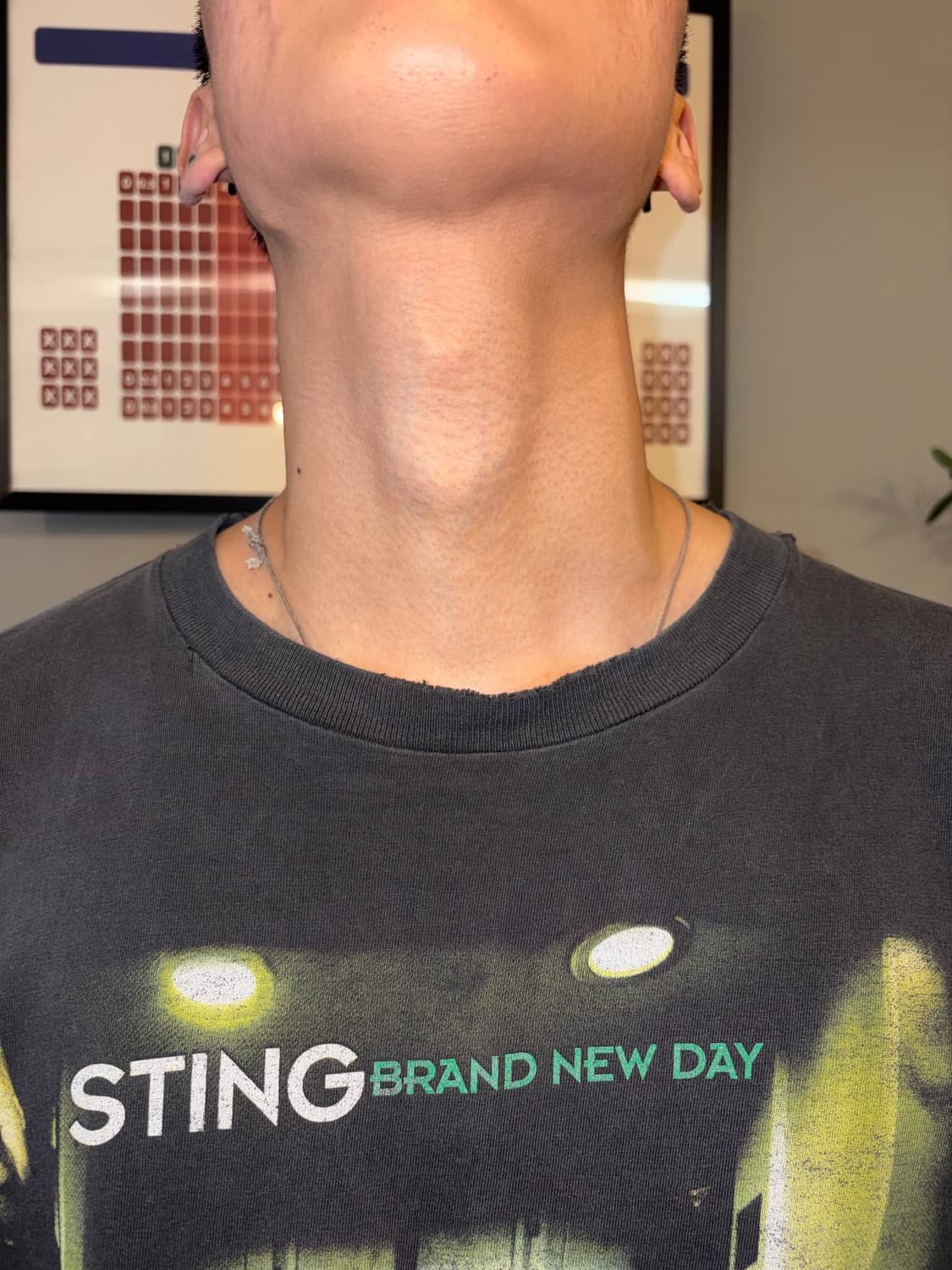 90‘s Sting Brand New day world tour T-sh 상품이미지3