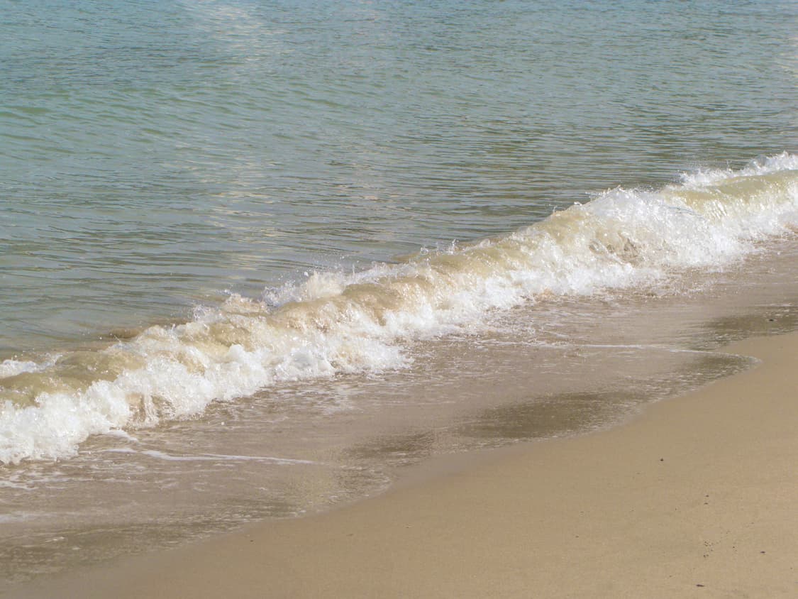 캐논 파워샷 g9 (안유진 디카) 상품이미지7