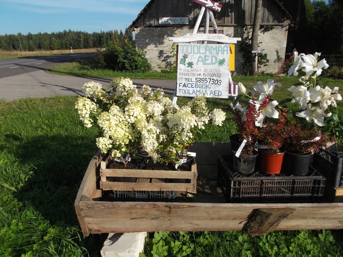 후지필름 파인픽스 Fujifilm FinePix JX520 블랙 상품이미지2