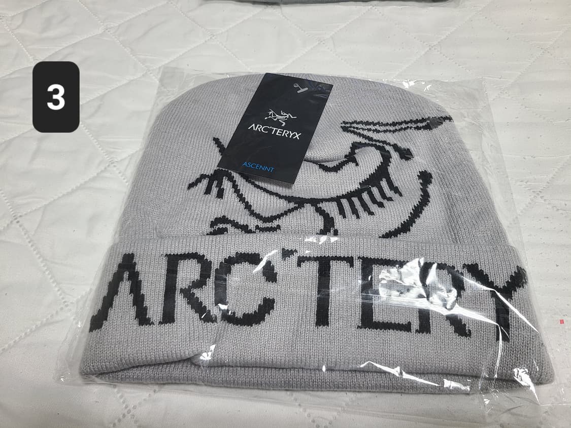 ( 새상품 ) 아크테릭스 버드 헤드 토크  비니

 상품이미지2