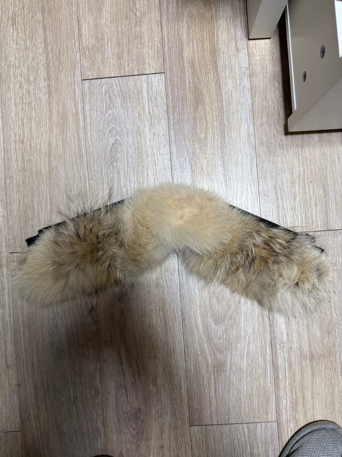 [S] 캐나다구스 샤토 블랙 상품이미지6