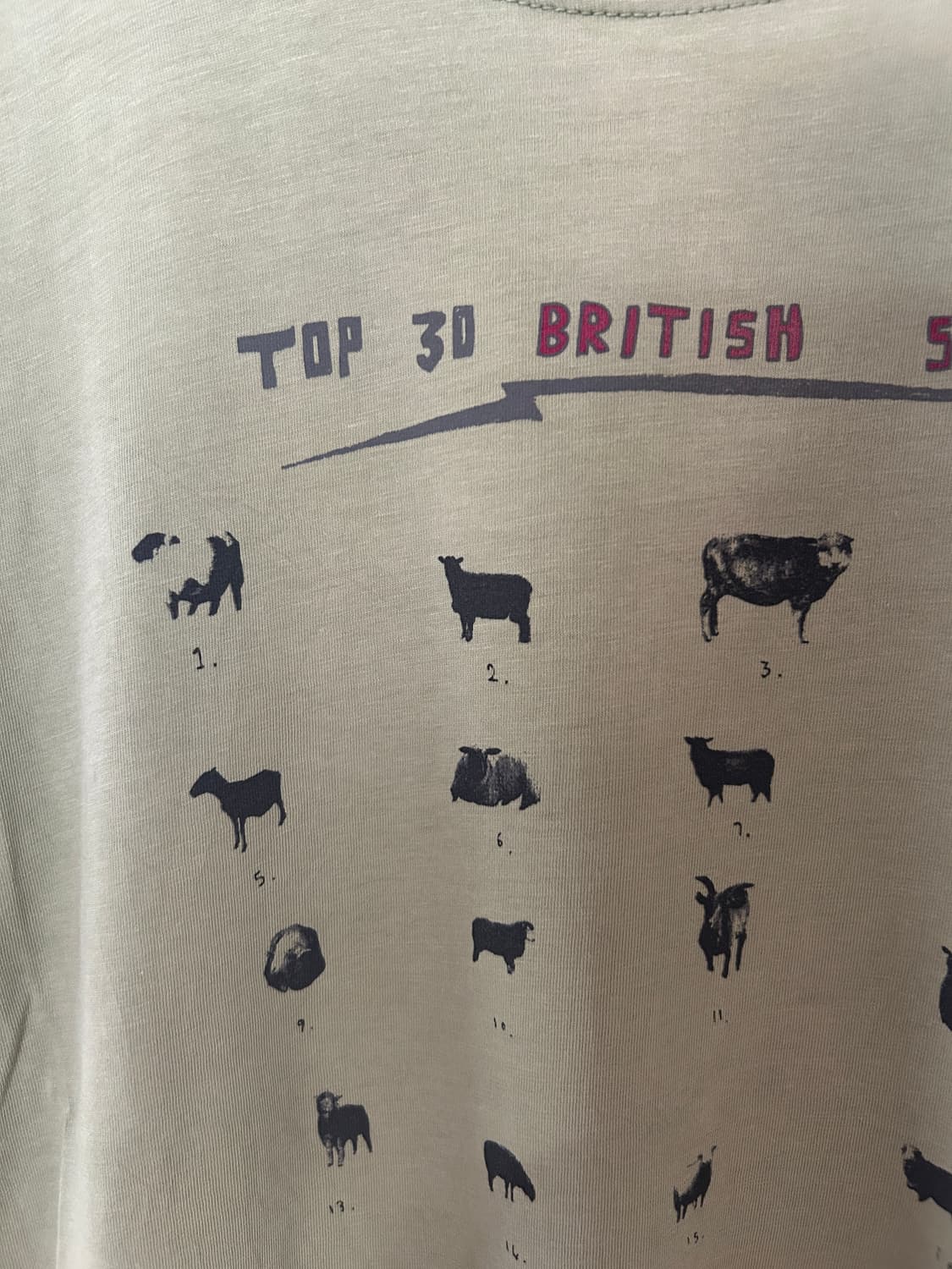 British sheep tshirt  상품이미지3