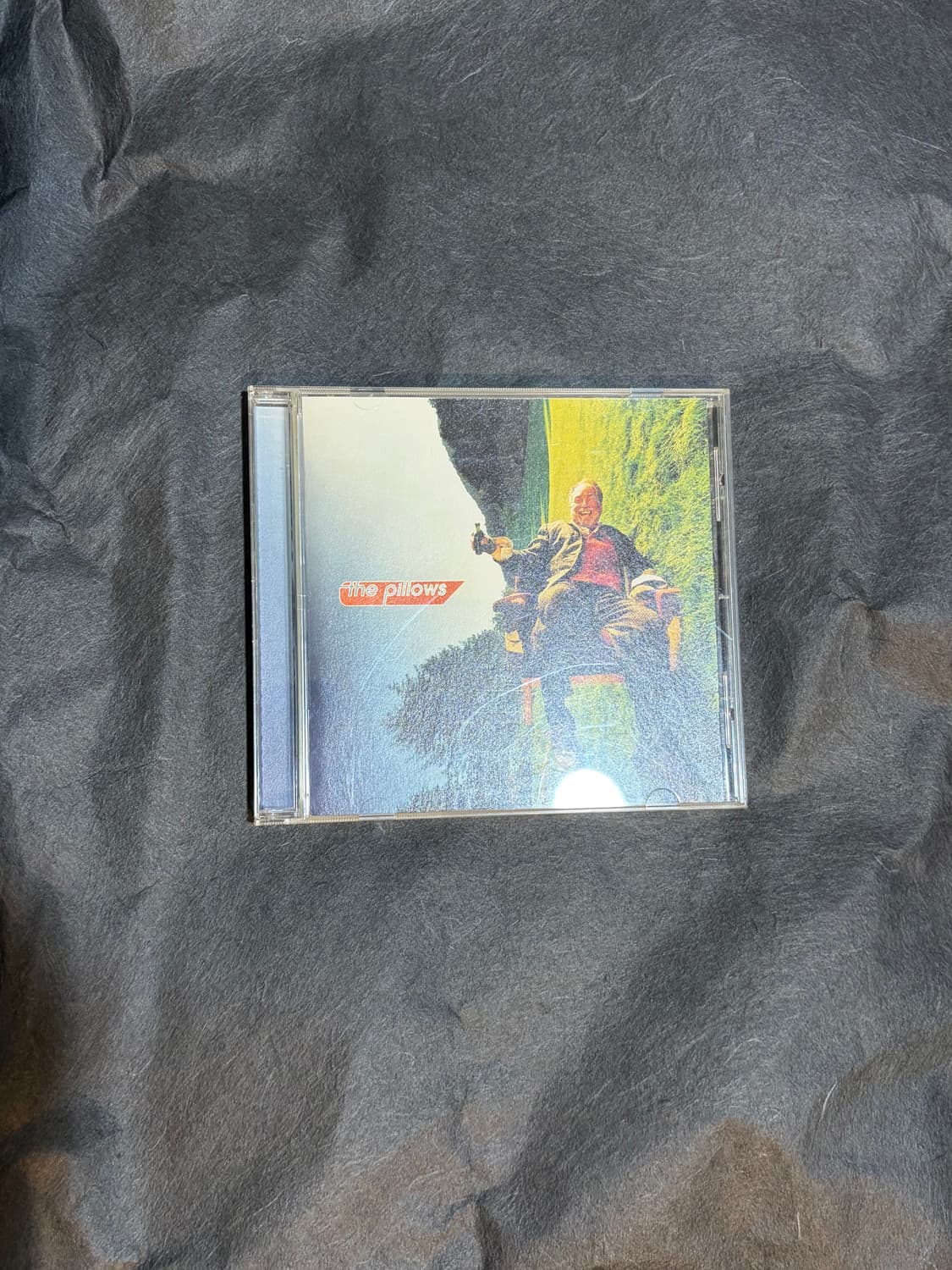 The pillows - happy bivouac 상품이미지5