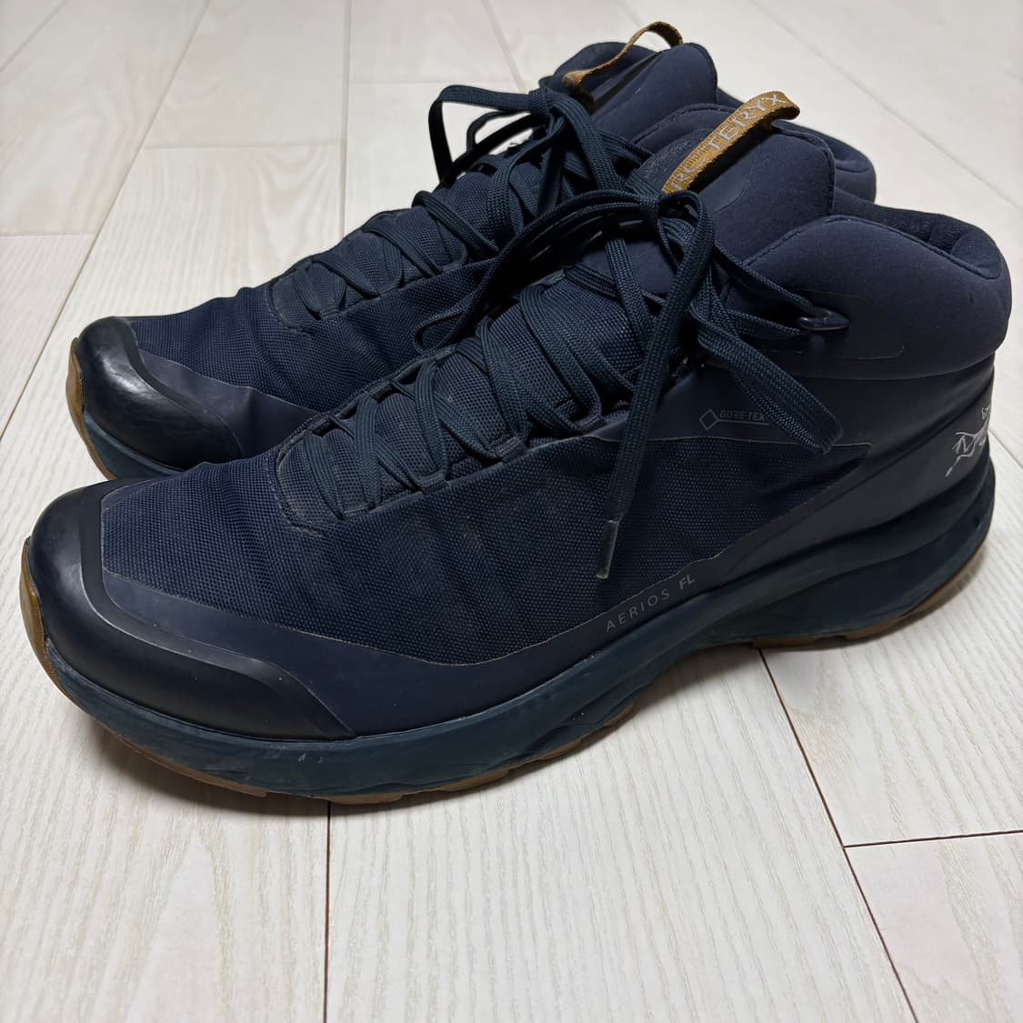 [265] 아크테릭스 에어리어스FL GTX 미드 상품이미지1