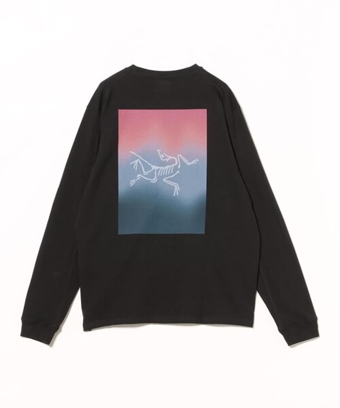 Arc'teryx 아크테릭스 Kragg Cotton Heatmap L/S 상품이미지3