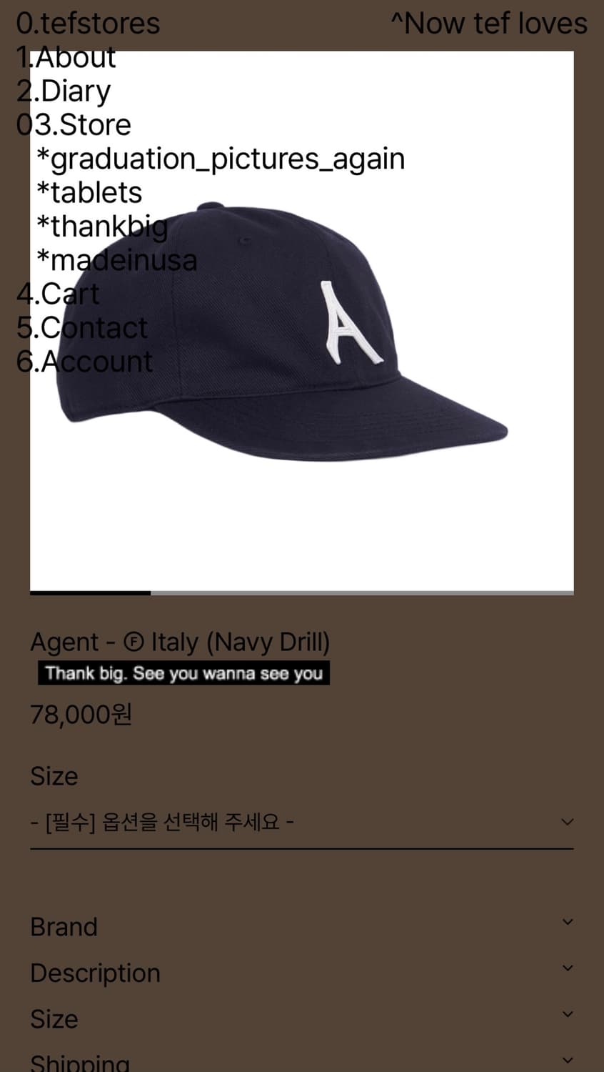 테프스토어 에이전트 m사이즈 상품이미지1