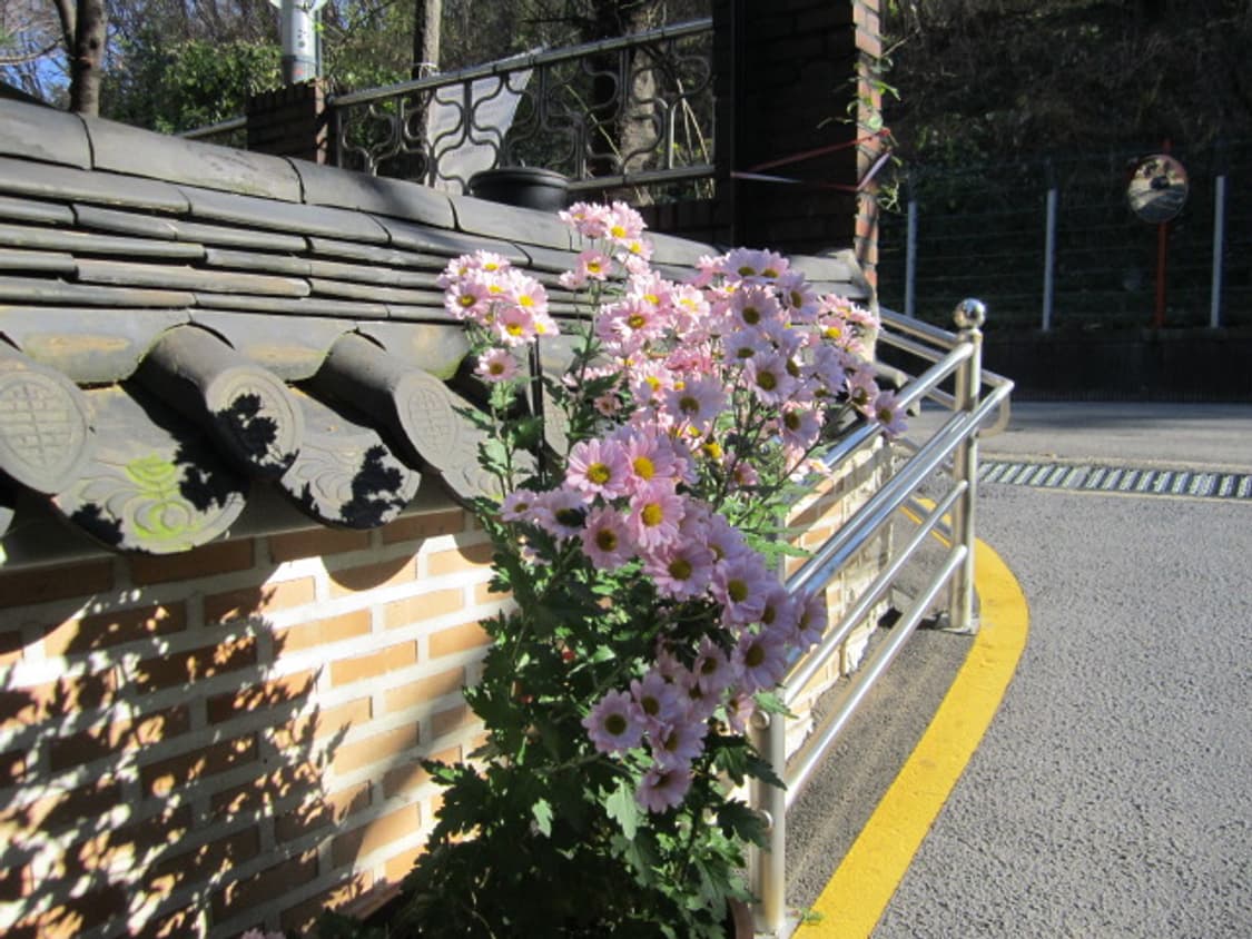 캐논 파워샷 a2200 디카 (빈티지 카메라) 상품이미지8