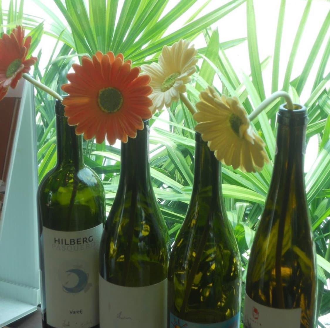 Nikon coolpix s4000 니콘 쿨픽스 빈티지 루비컬러 디카 상품이미지9