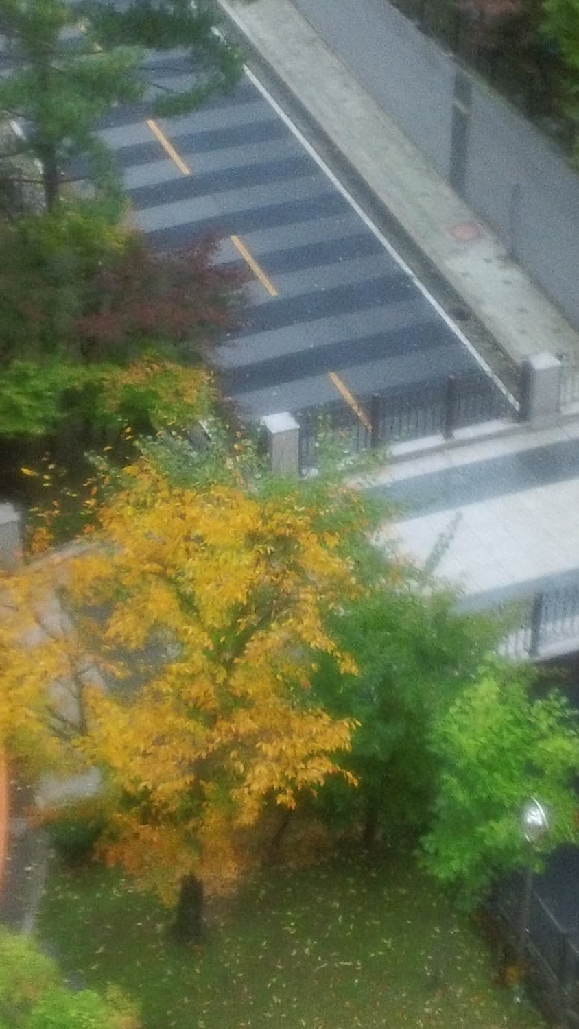 소니 블로기 TS10 빈티지 디카 캠코더 작례o 상품이미지7