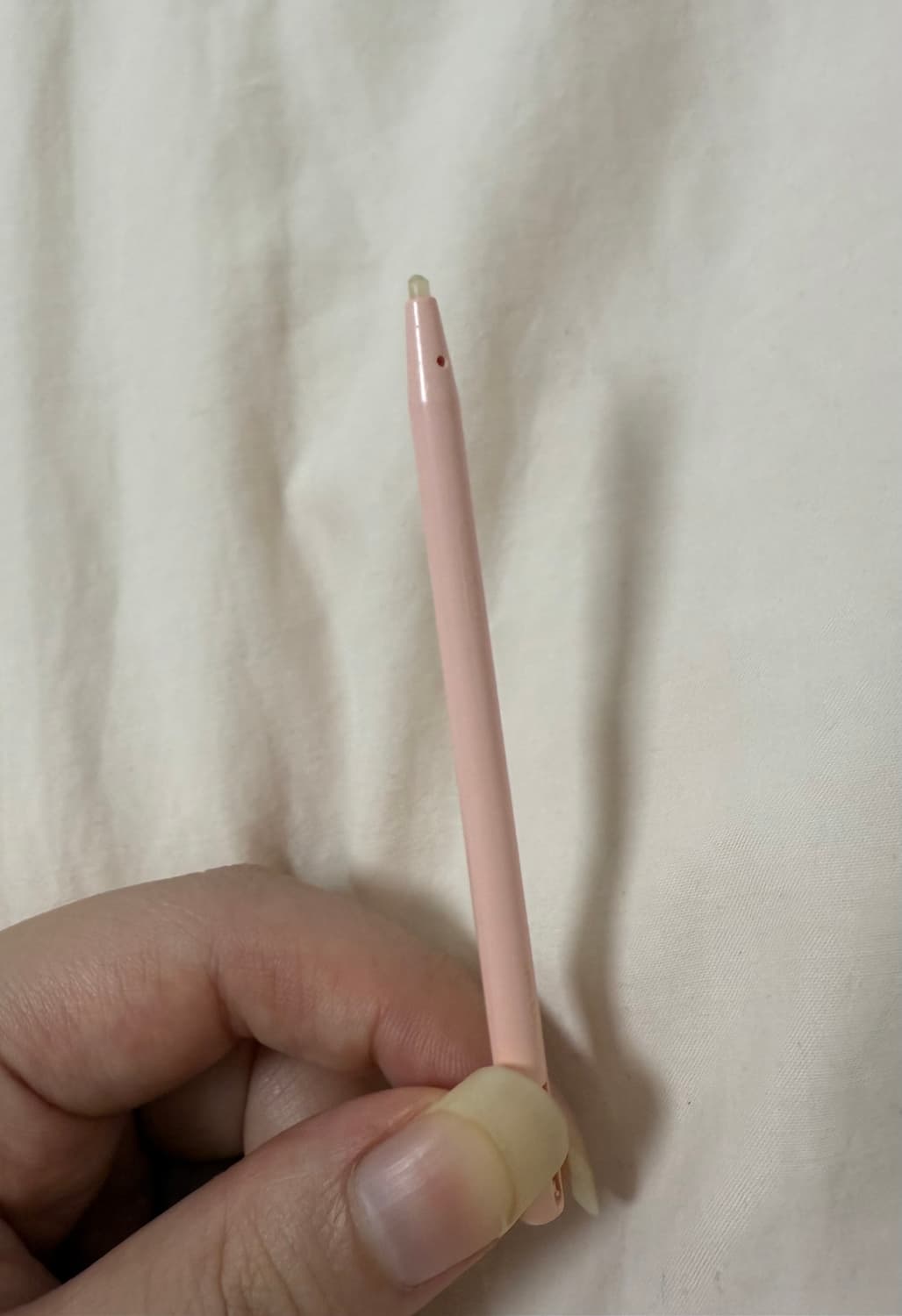고전) 닌텐도 DS Lite 핑크 기기 충전기 닌텐독스 포켓몬대시 칩 상품이미지6