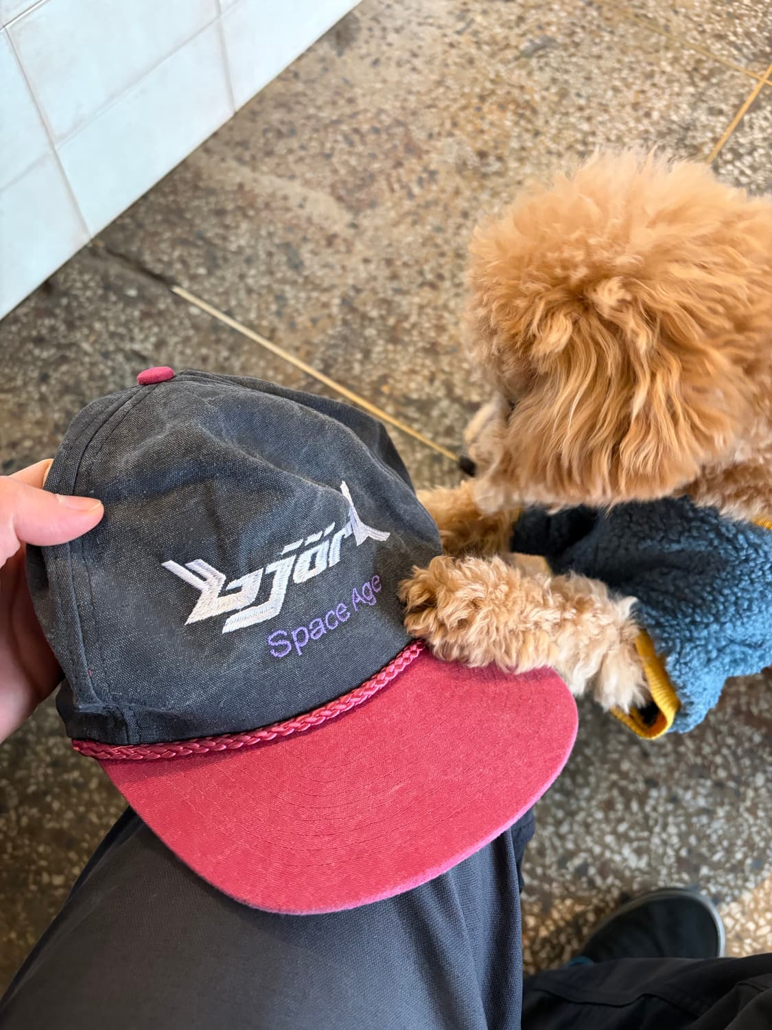 90s Bjork cap 상품이미지4