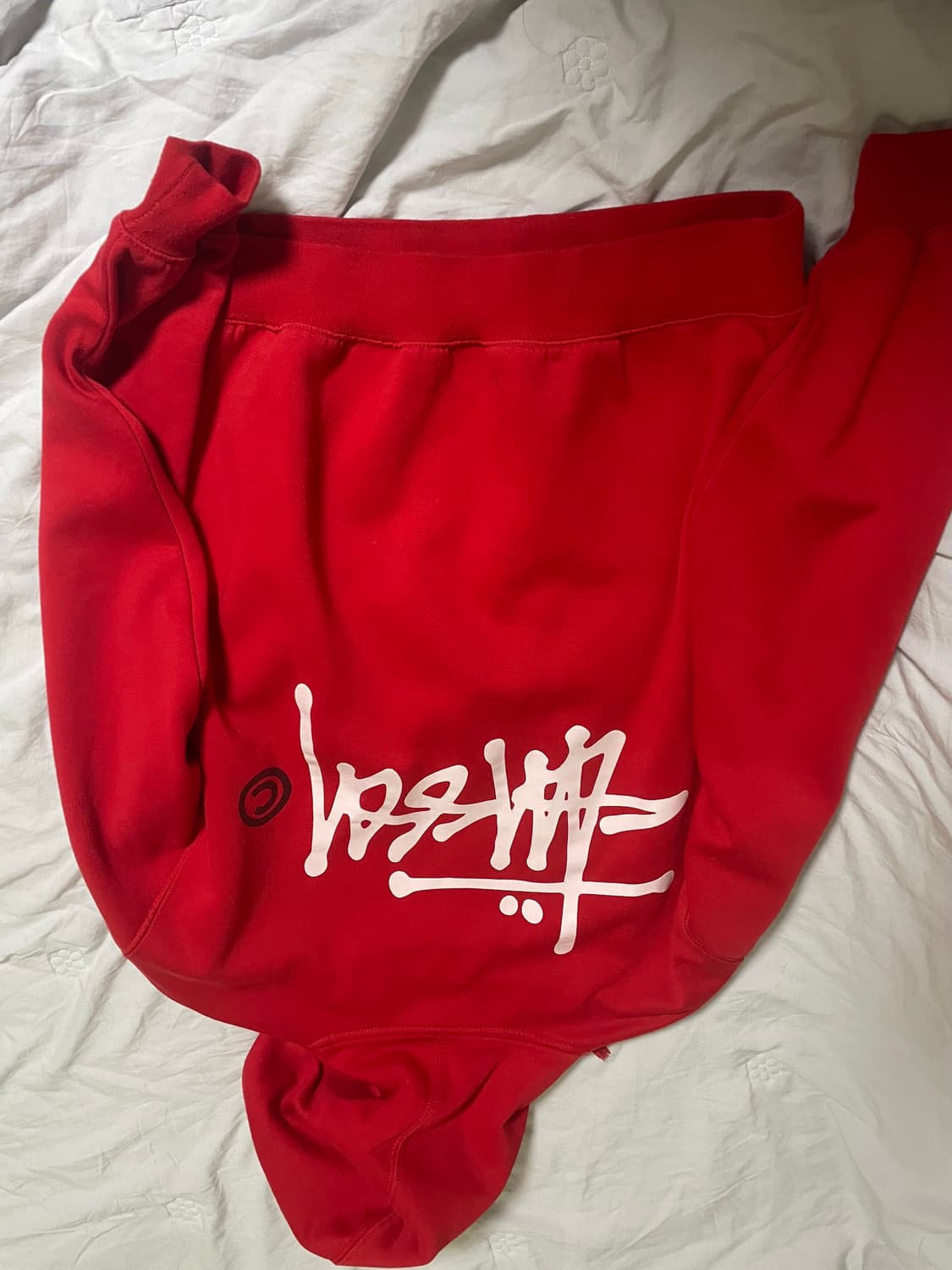 스투시 베이직 빅 로고 후드티 레드 상품이미지1