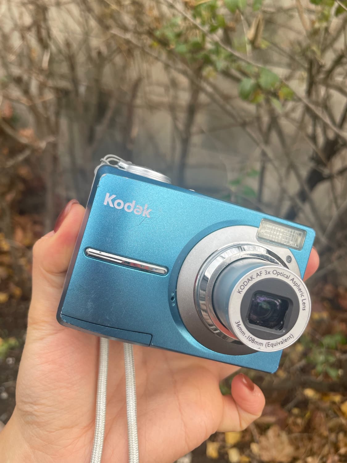  코닥 이지쉐어 C813 블루 Kodak Easyshare C813  상품이미지5