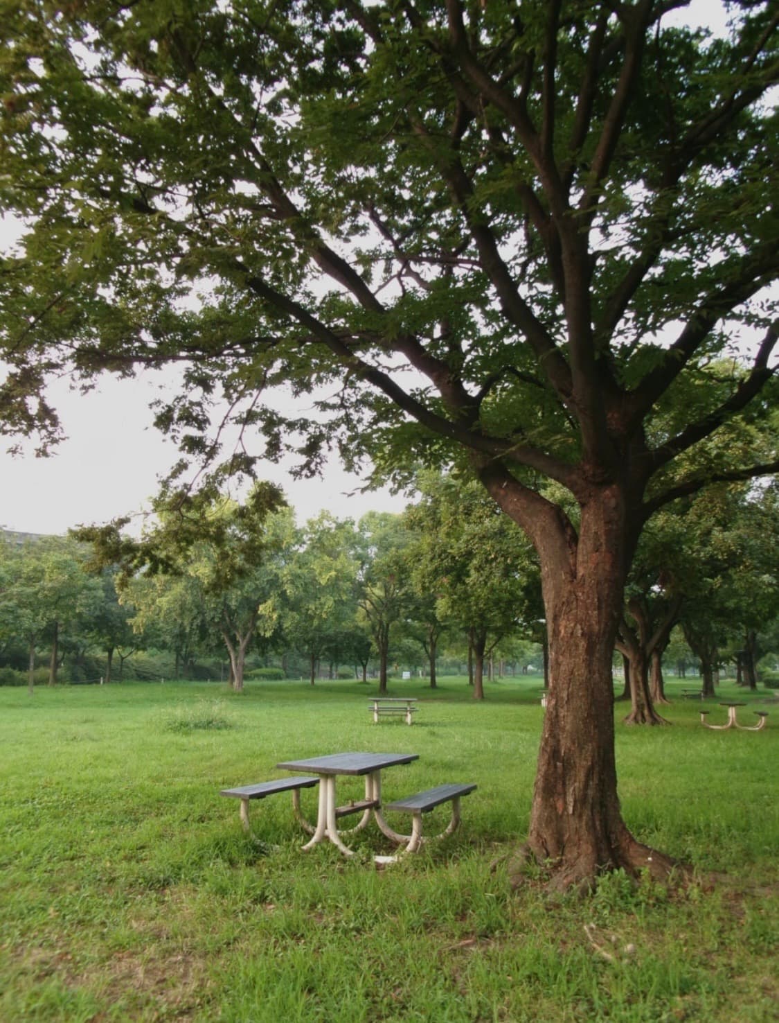 코닥Pixpro FZ55 디카 상품이미지4