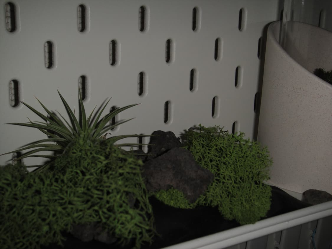 [신품급 컨디션/민트급]Sony Cybershot DSC-T90 상품이미지4