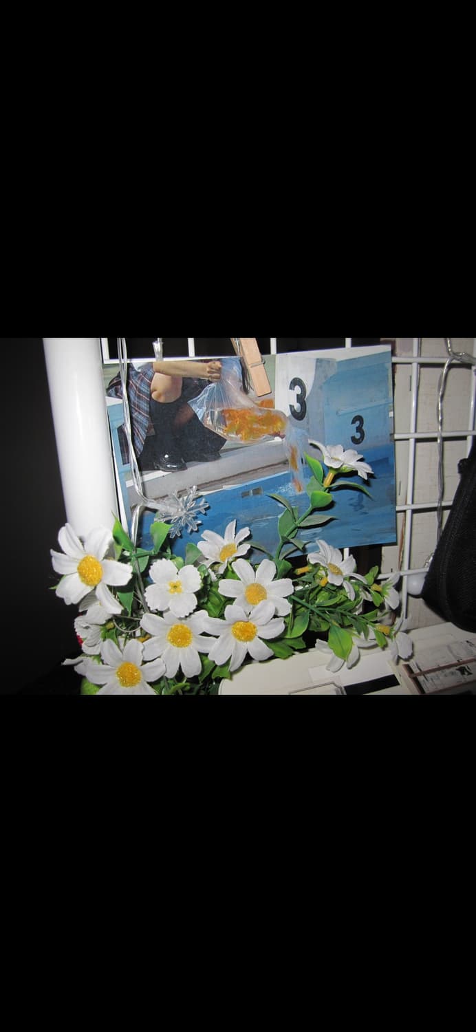 캐논 IXUS 120 IS (IXY 220 IS) / 부드러운 톤의 클래 상품이미지3