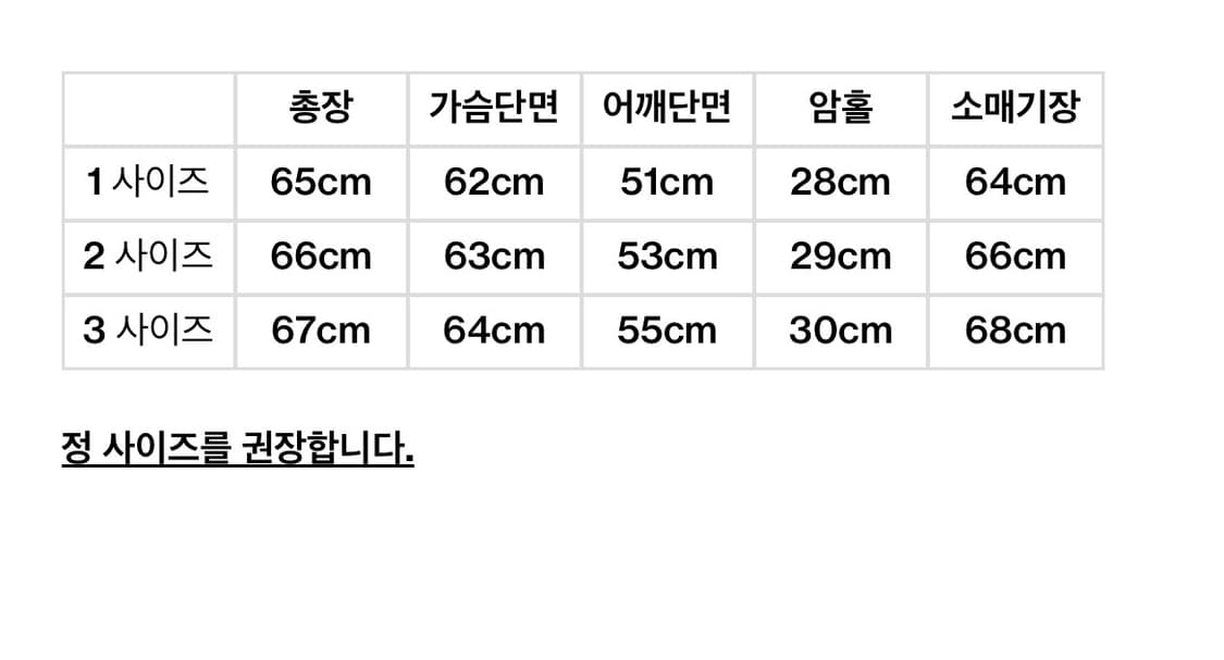 펀치드렁크파티즈 자켓 1사이즈 상품이미지6