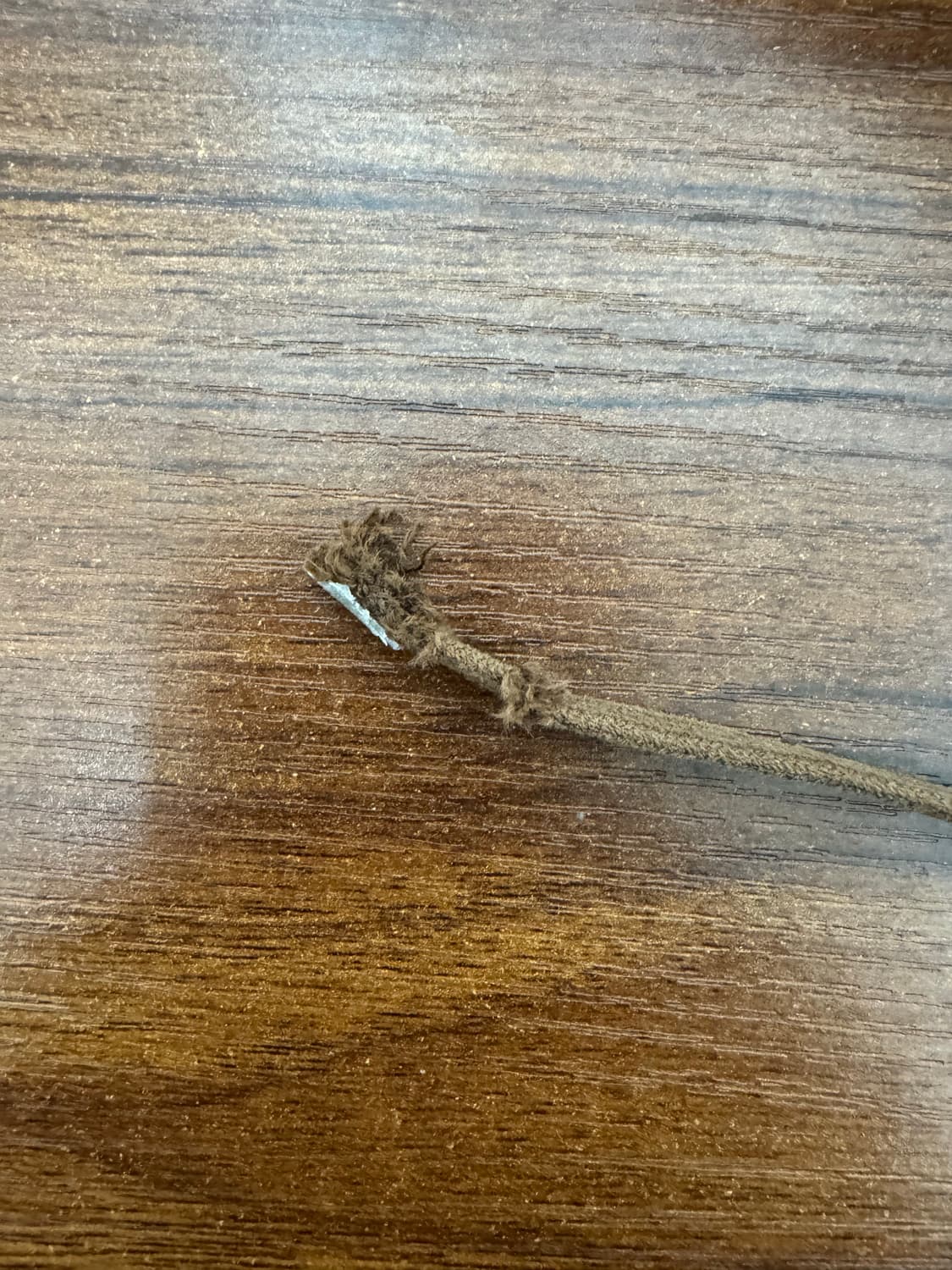 폴로 레일로드 해링본 코튼 캡 상품이미지9