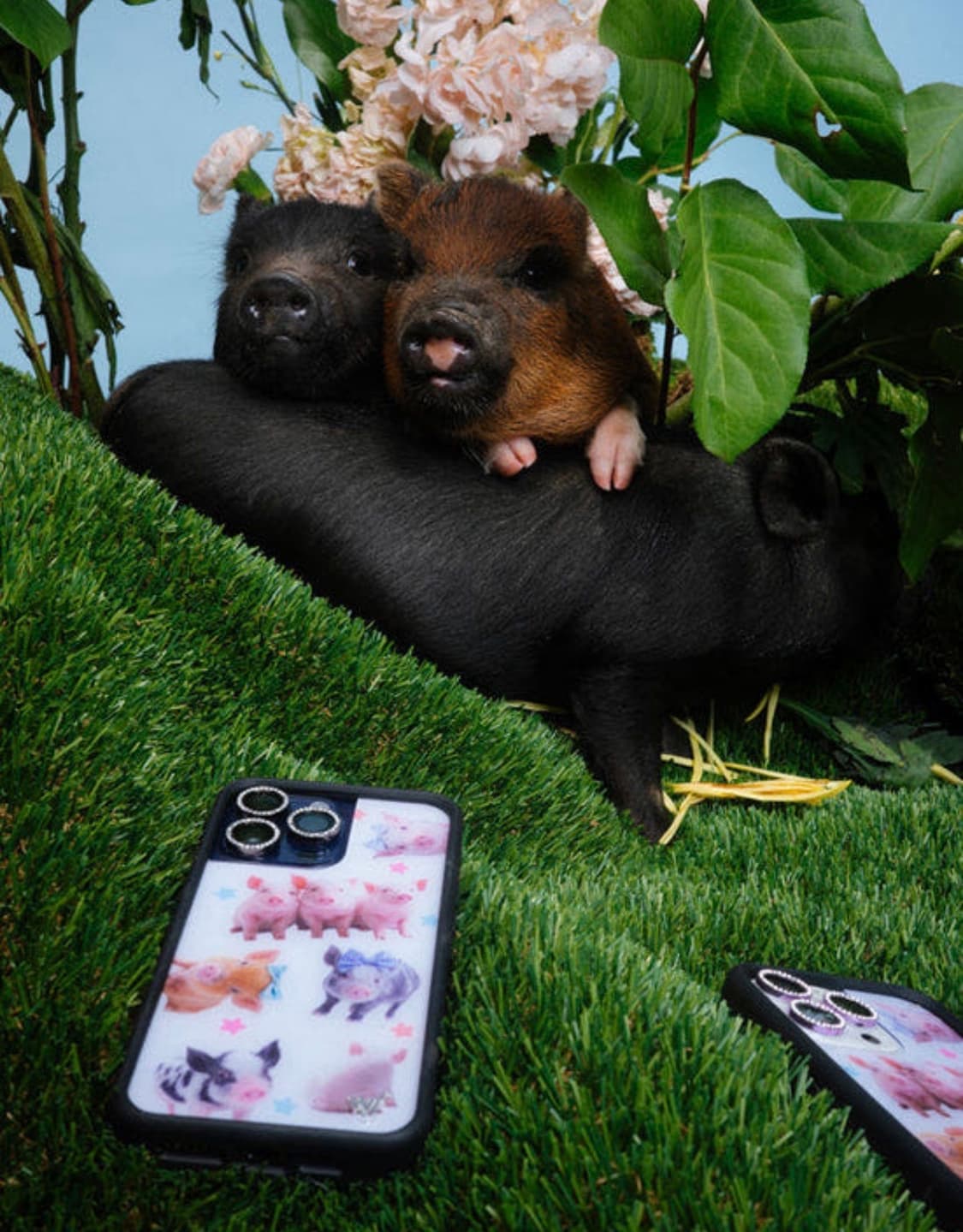 와일드플라워 Little Piggies 리틀 피기스 14프로 상품이미지3